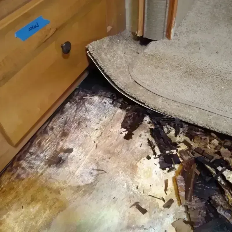 Wood Floor Water Damage in Severn, MD